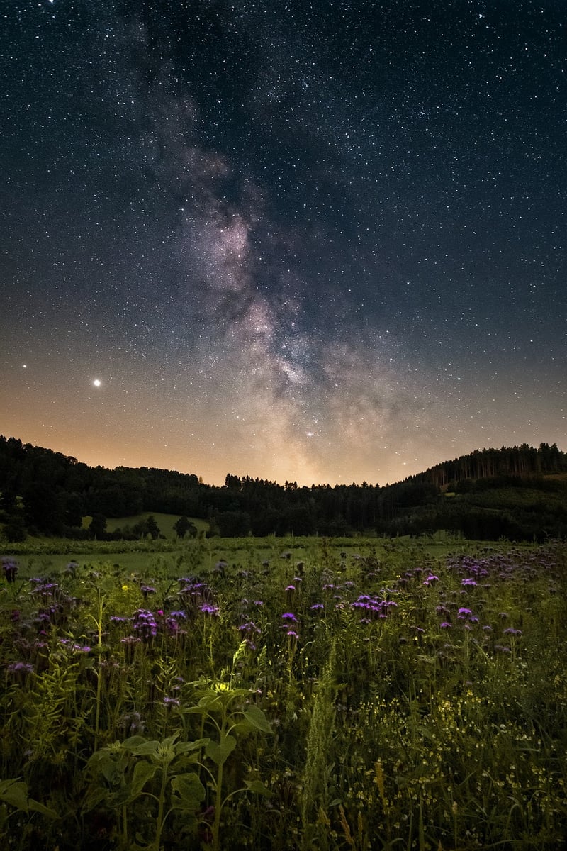 Galactic transport